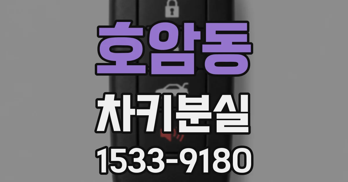 호암동 차키분실