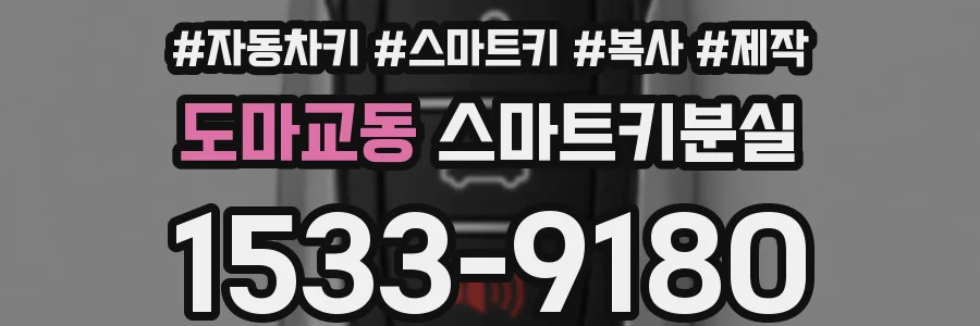 도마교동 스마트키분실