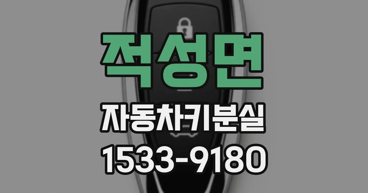 적성면 자동차키분실