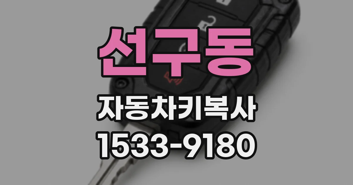 선구동 자동차키복사