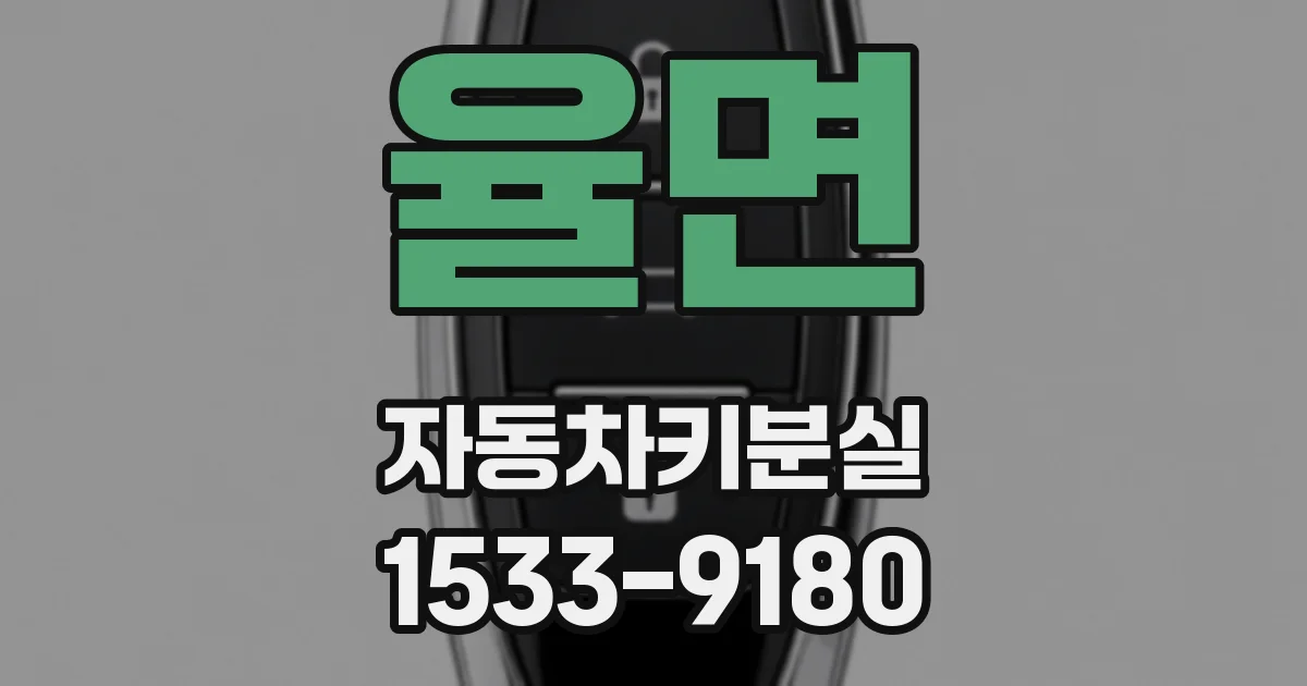 율면 자동차키분실