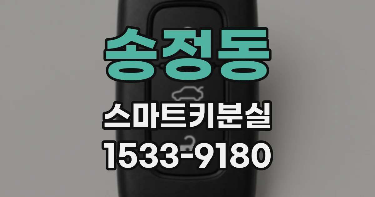 송정동 스마트키분실