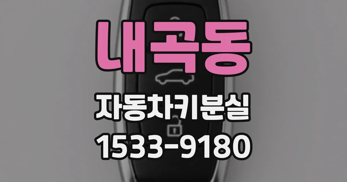 내곡동 자동차키분실