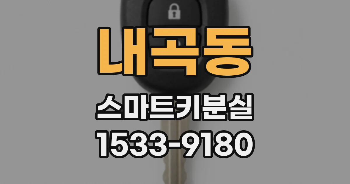 내곡동 스마트키분실