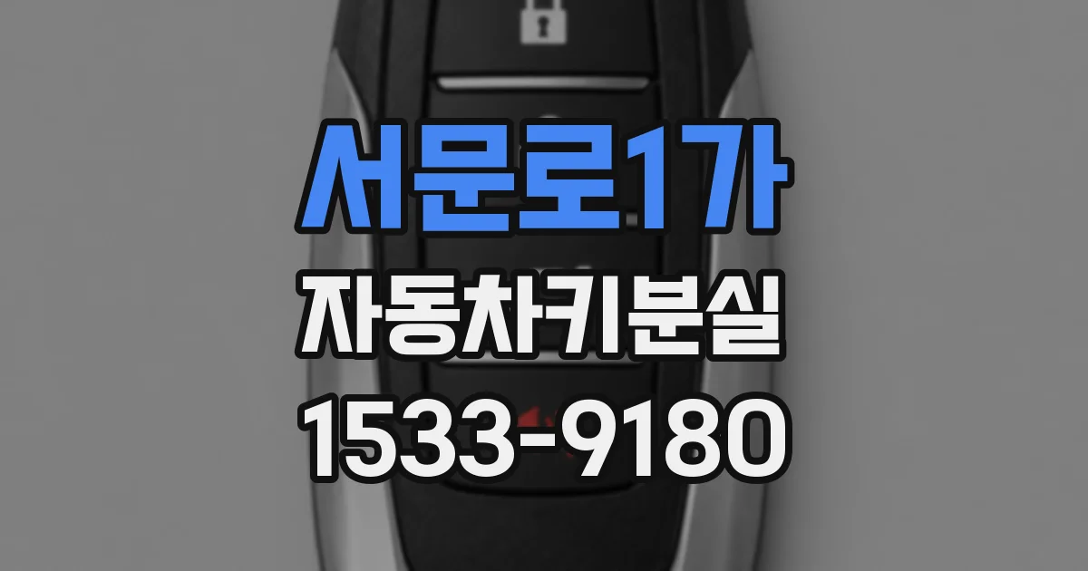 서문로1가 자동차키분실