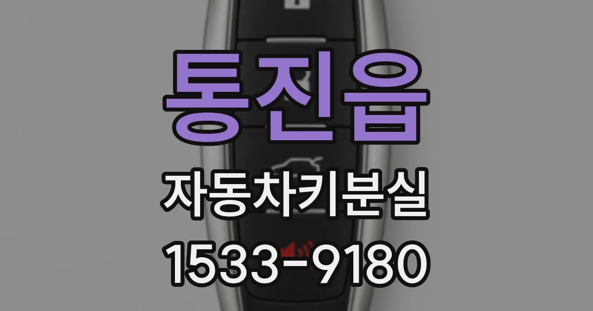 통진읍 자동차키분실
