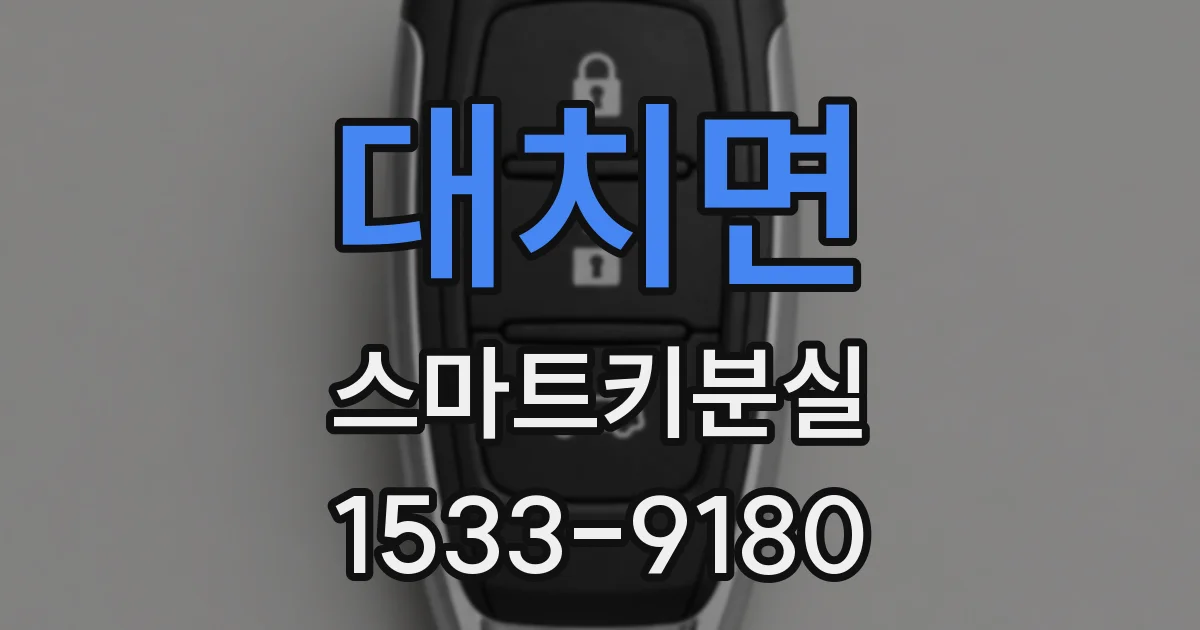 대치면 스마트키분실