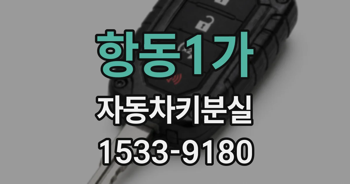 항동1가 자동차키분실