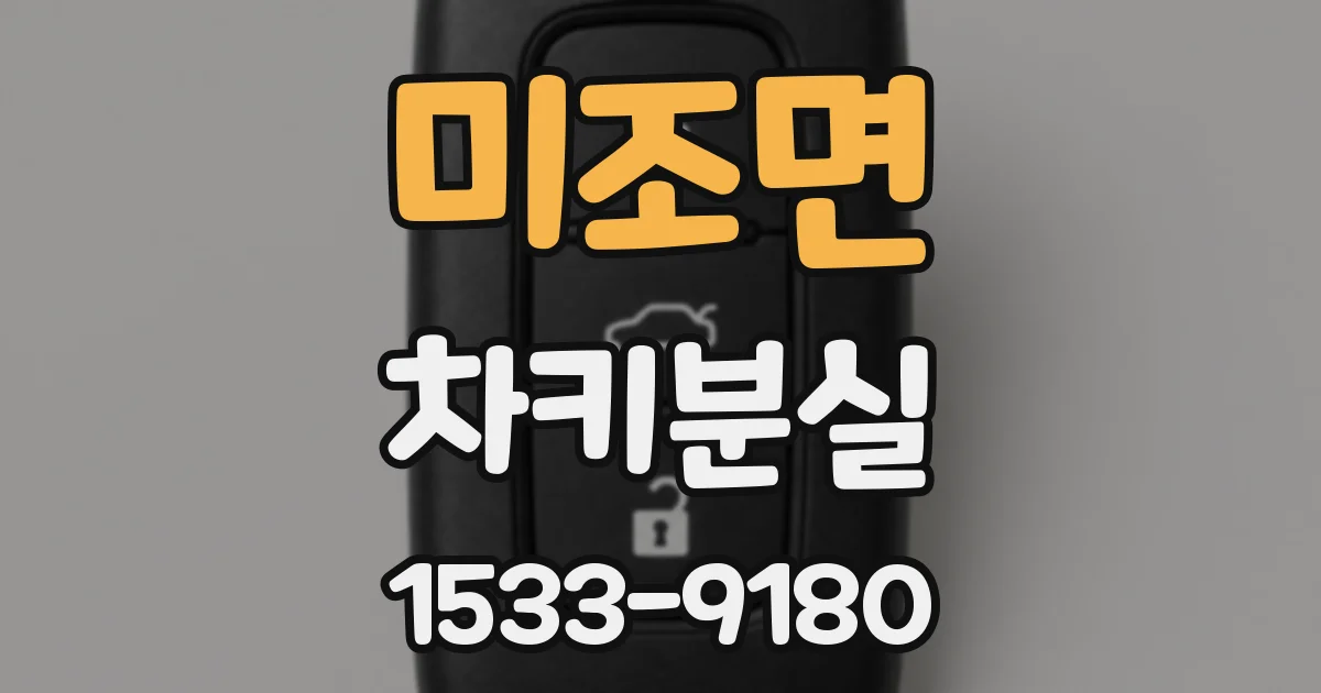 미조면 차키분실