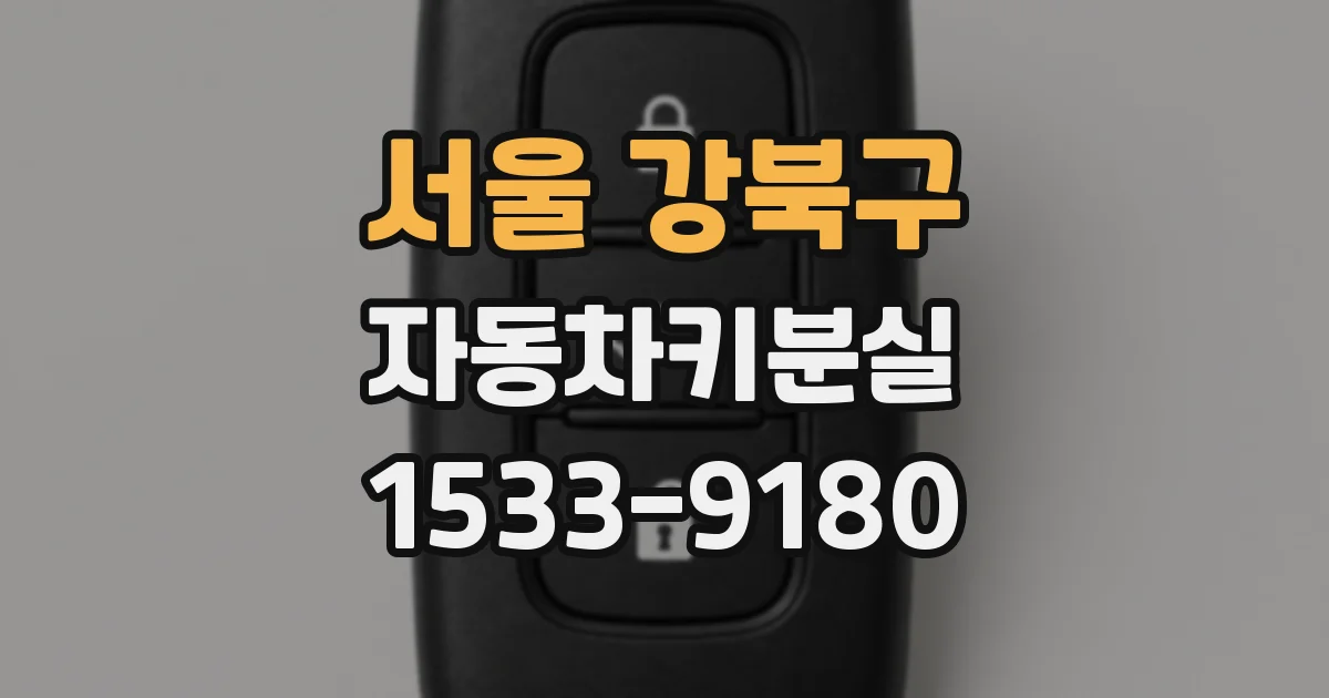서울 강북구 자동차키분실