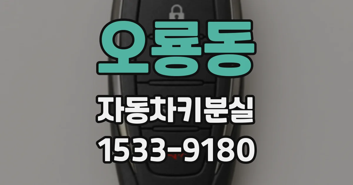 오룡동 자동차키분실