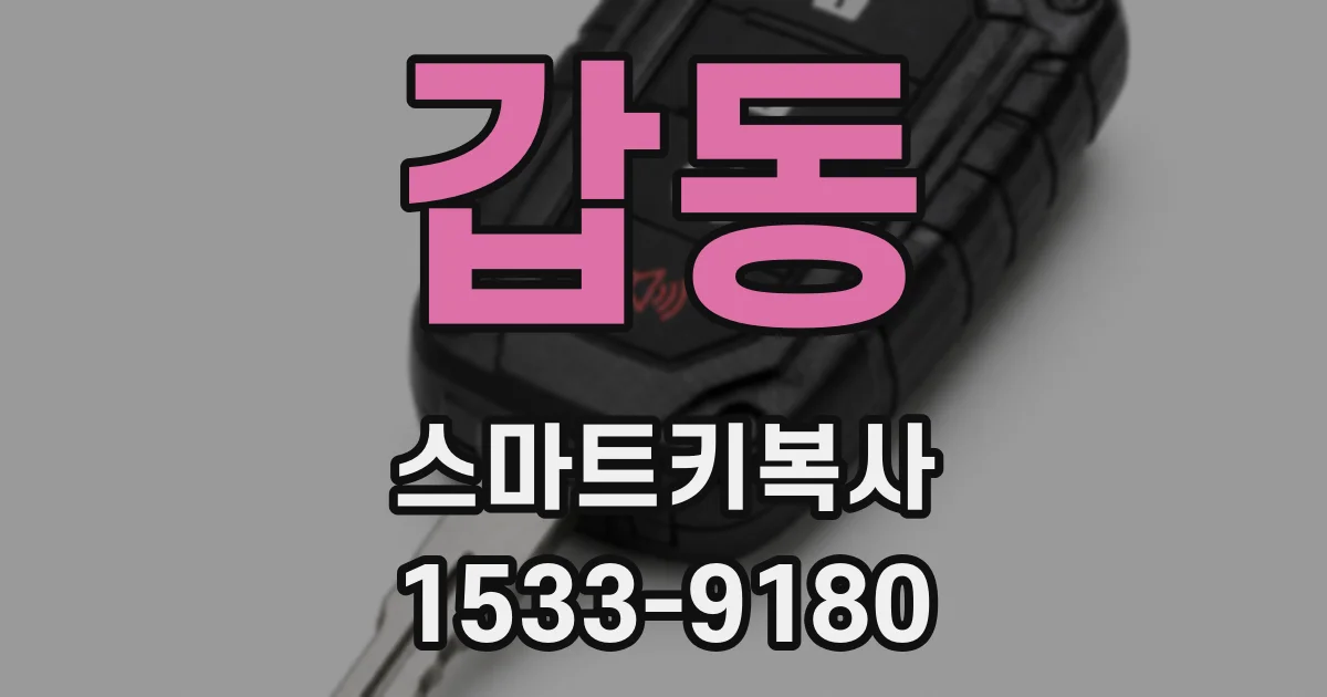 갑동 스마트키복사