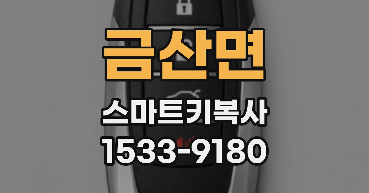 금산면 스마트키복사