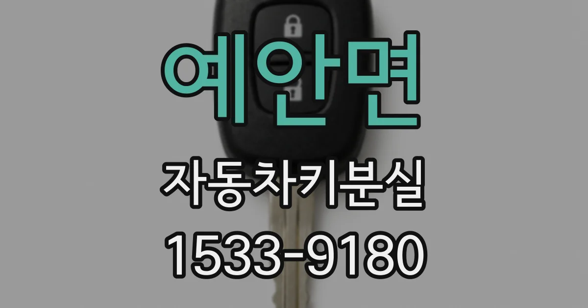 예안면 자동차키분실