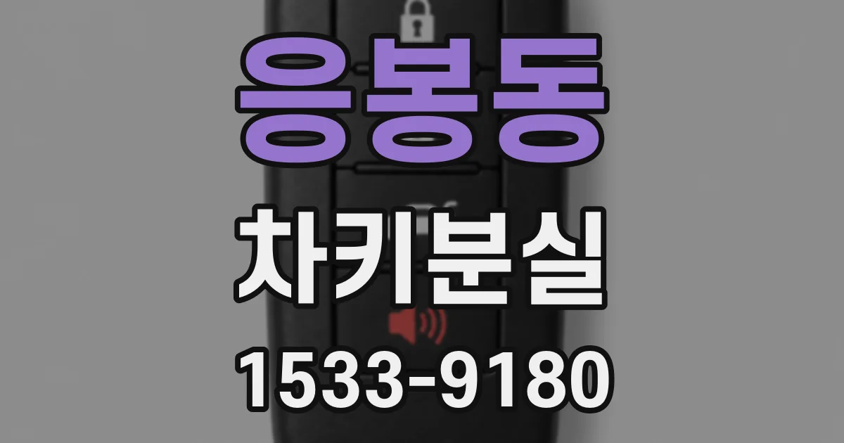 응봉동 차키분실