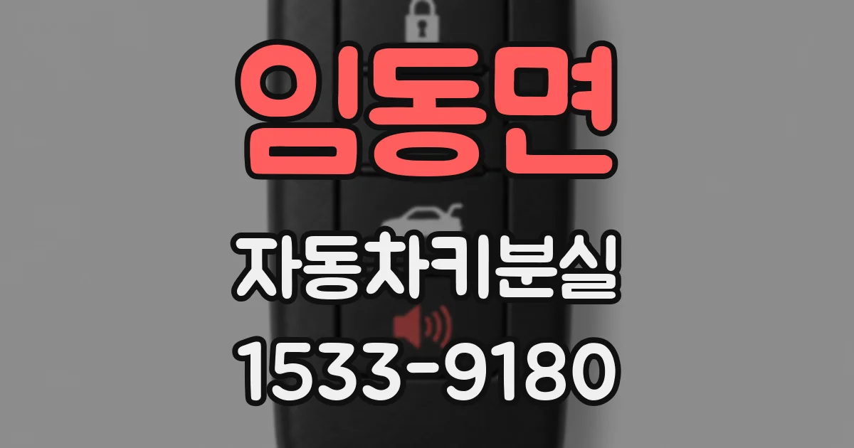 임동면 자동차키분실