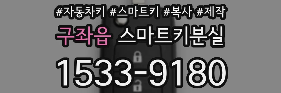 구좌읍 스마트키분실