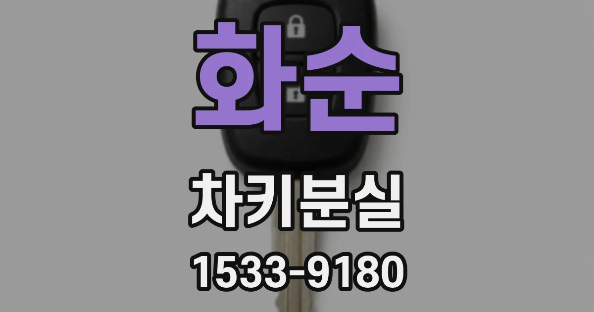 화순 차키분실