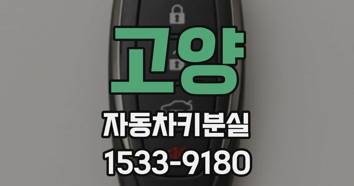 고양 자동차키분실