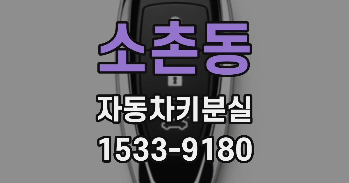 소촌동 자동차키분실