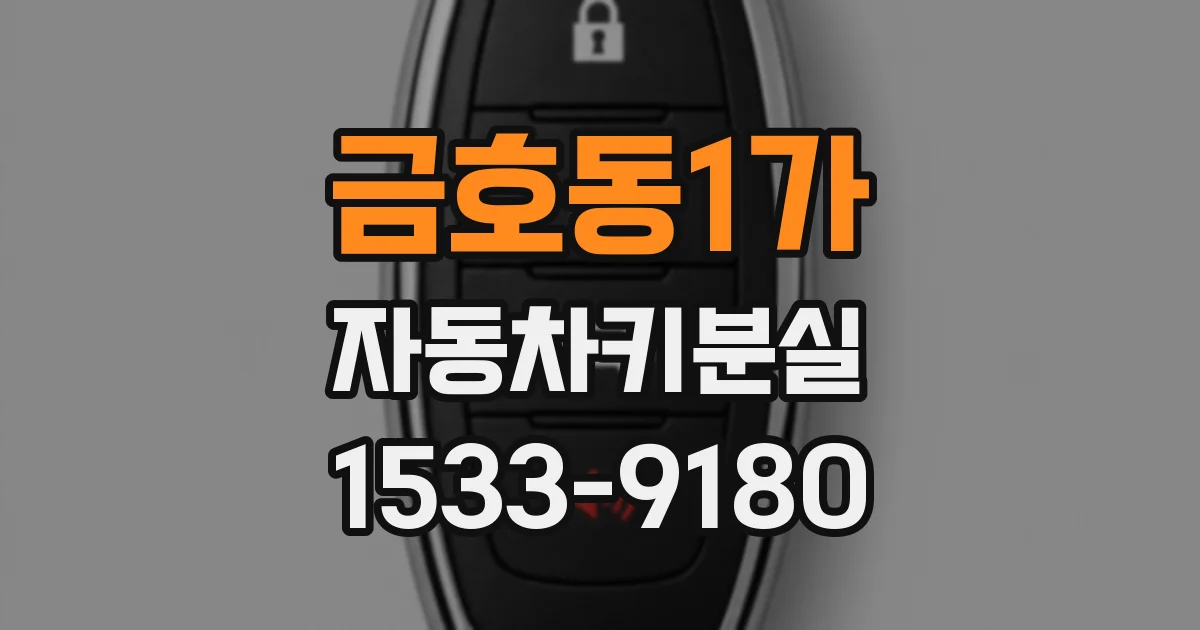 금호동1가 자동차키분실
