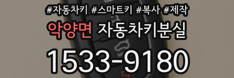 악양면 자동차키분실