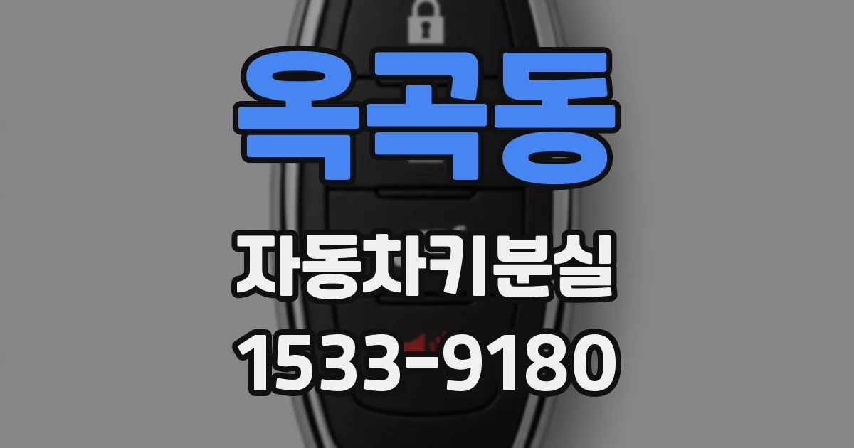 옥곡동 자동차키분실