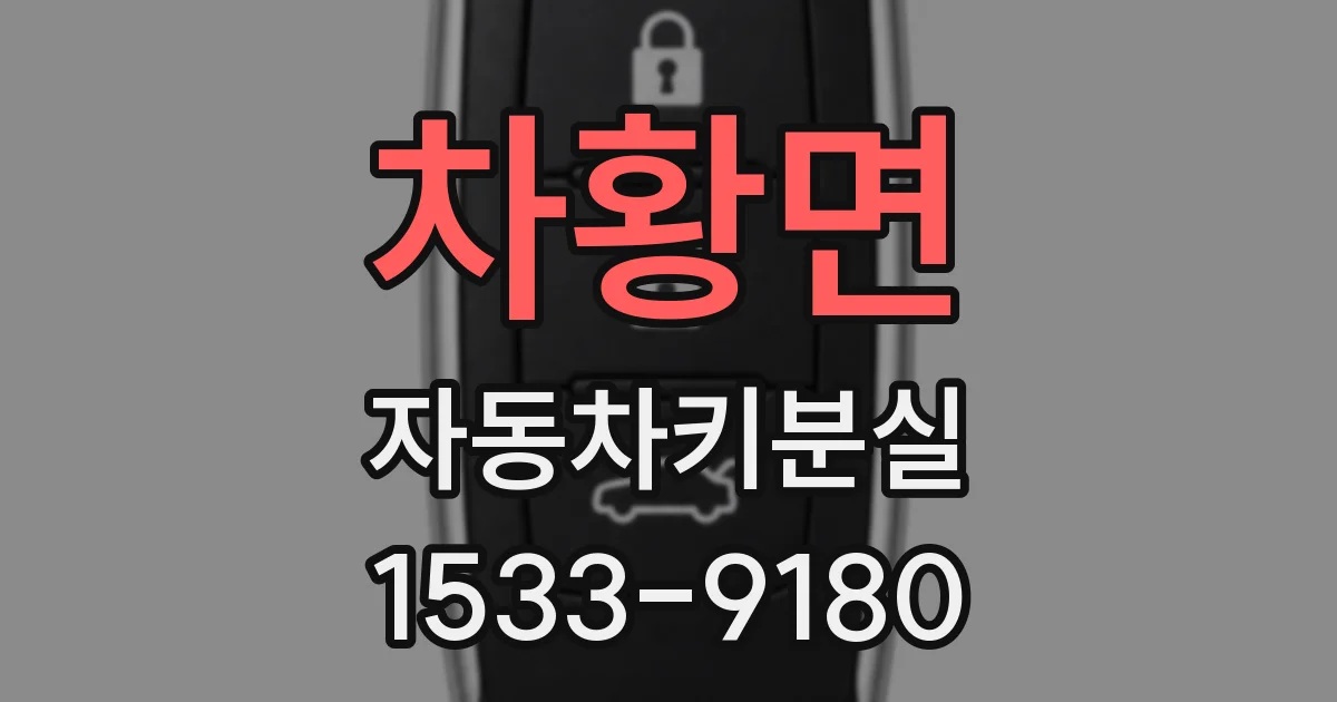 차황면 자동차키분실