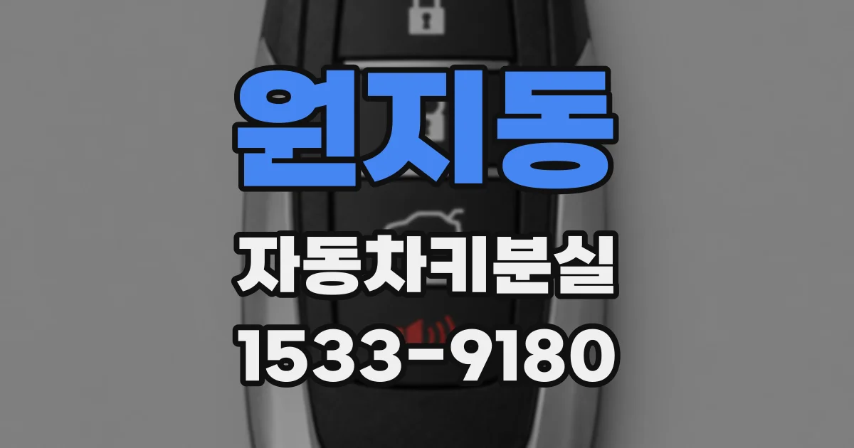 원지동 자동차키분실