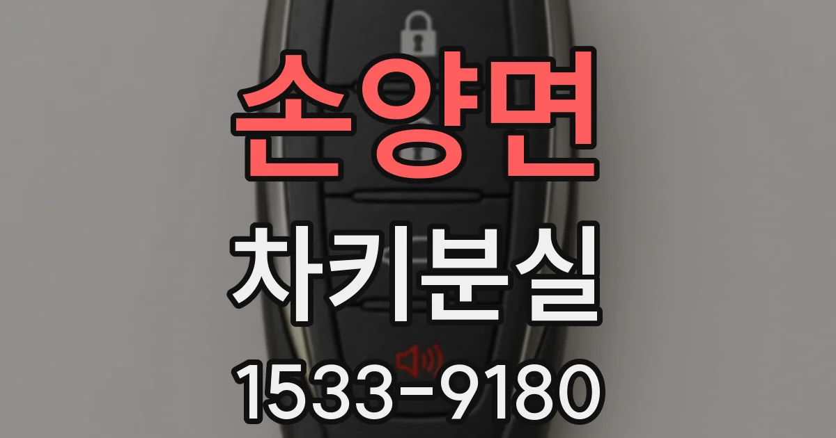 손양면 차키분실