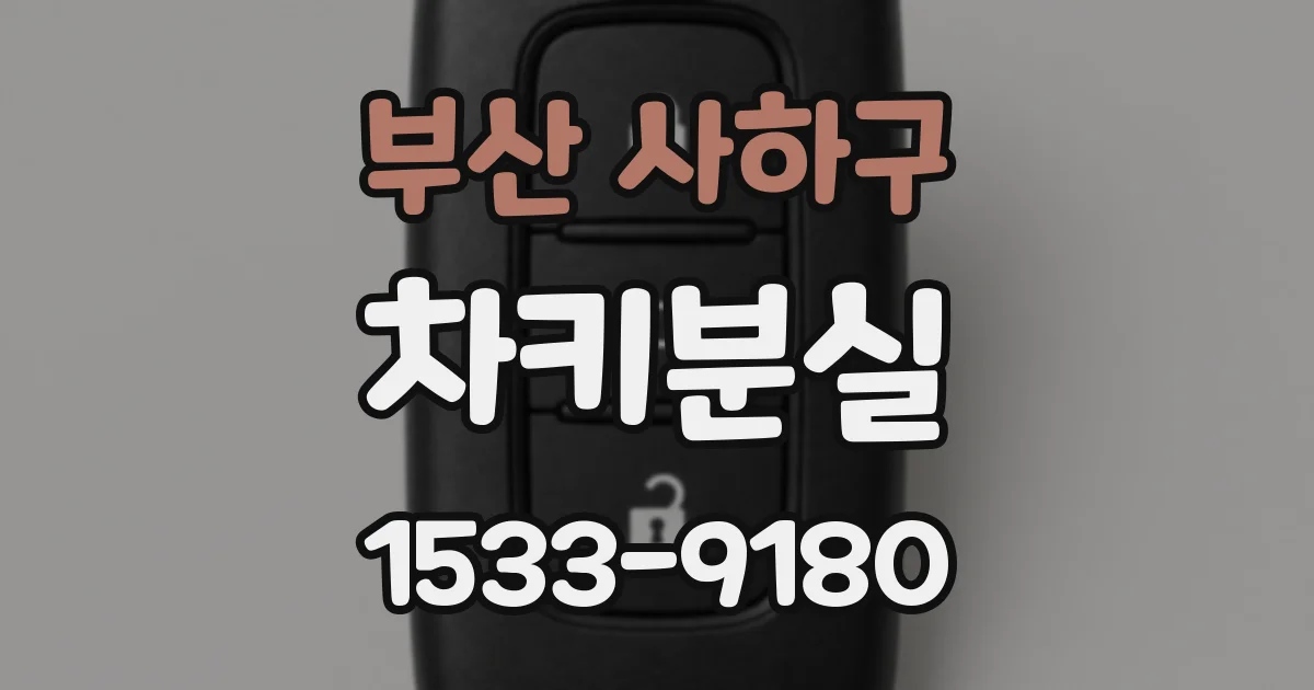 부산 사하구 차키분실