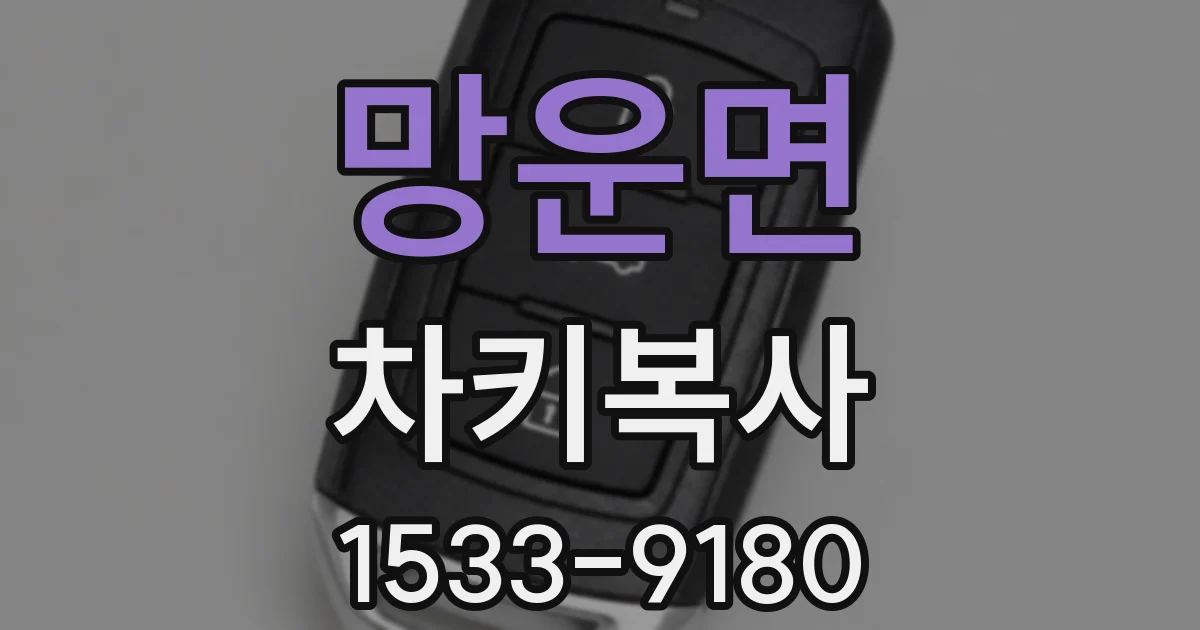 망운면 차키복사