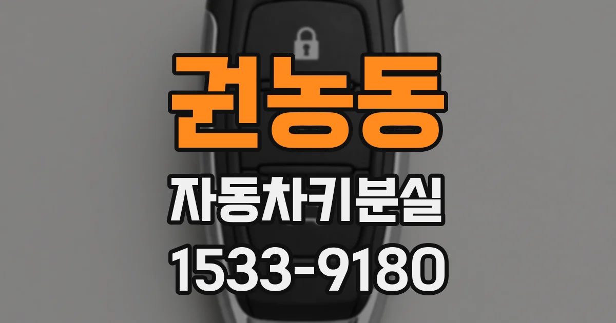 권농동 자동차키분실