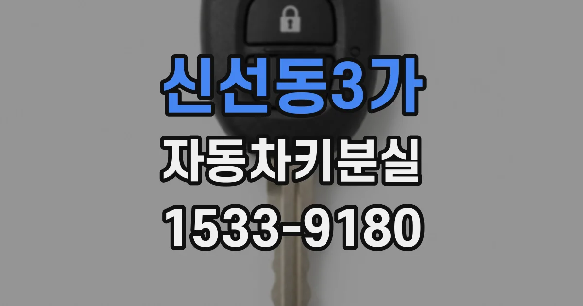 신선동3가 자동차키분실