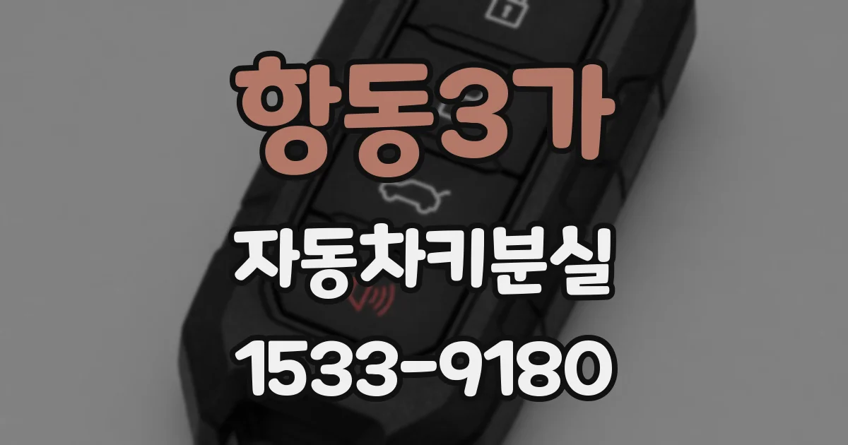 항동3가 자동차키분실