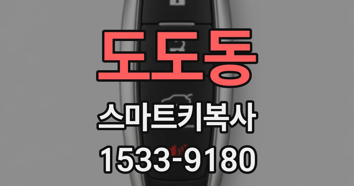 도도동 스마트키복사