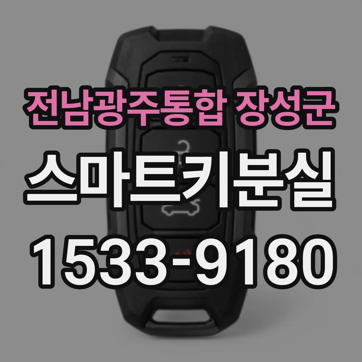 전남광주통합 장성군 스마트키분실