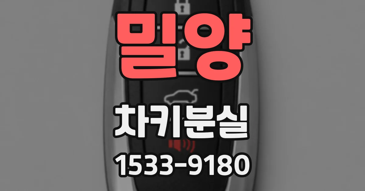 밀양 차키분실