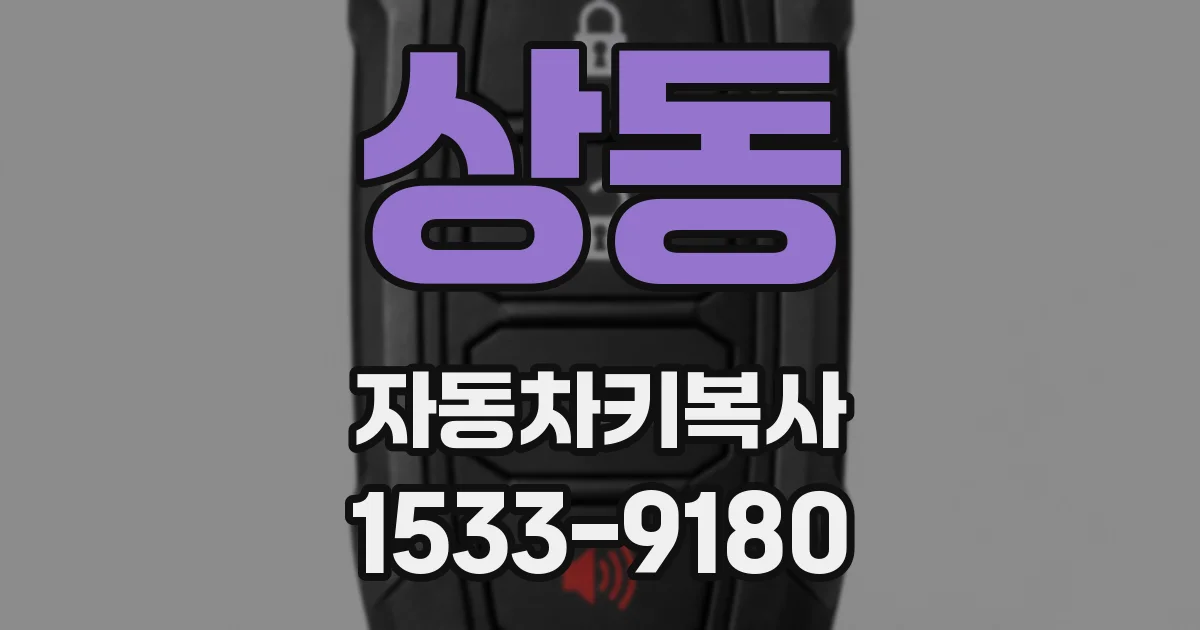 상동 자동차키복사