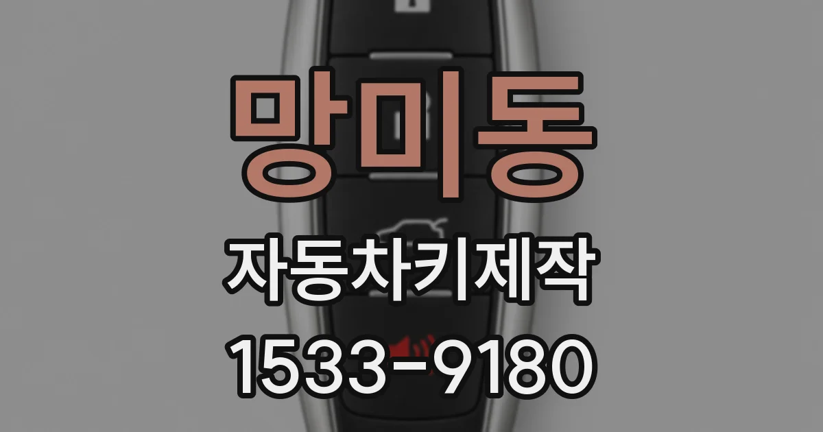 망미동 자동차키제작