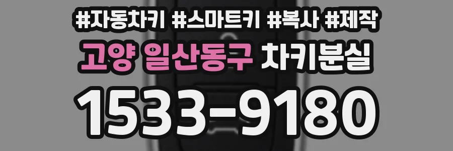 고양 일산동구 차키분실