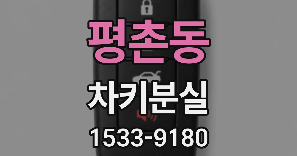평촌동 차키분실