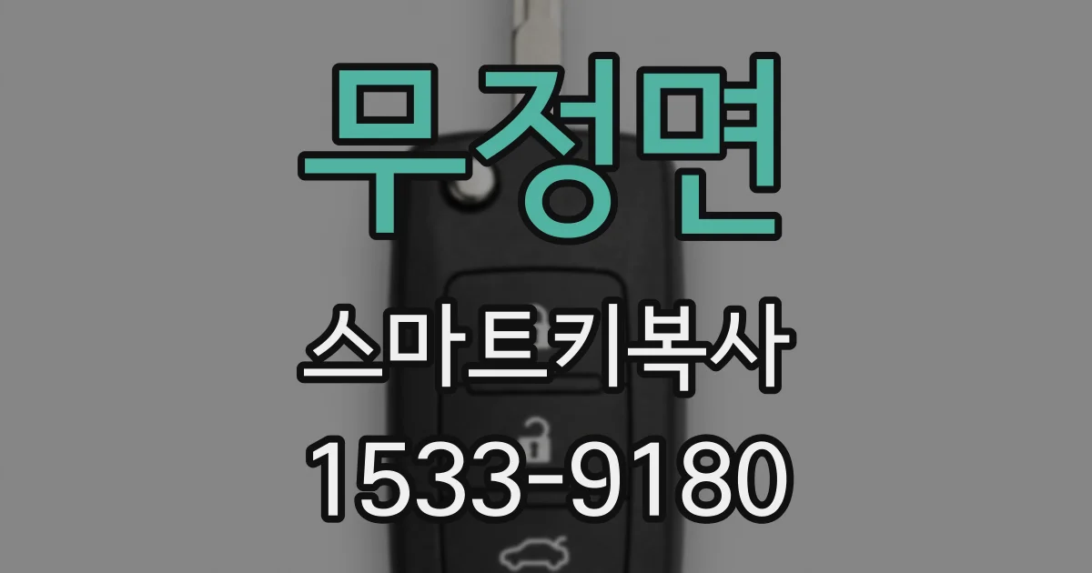 무정면 스마트키복사