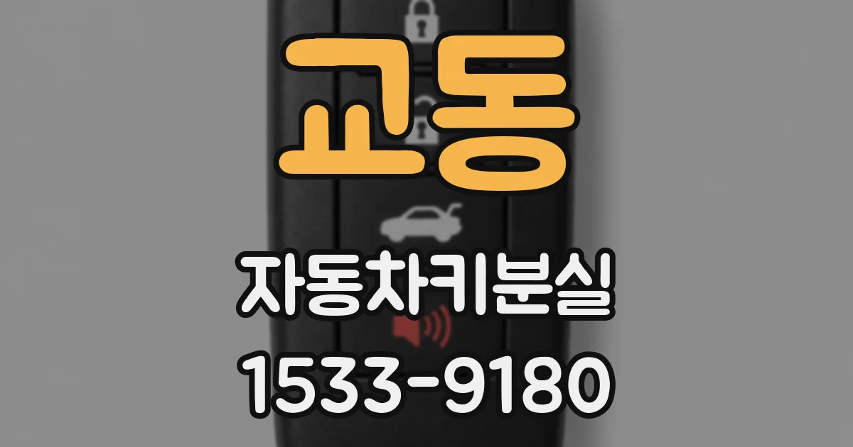 교동 자동차키분실