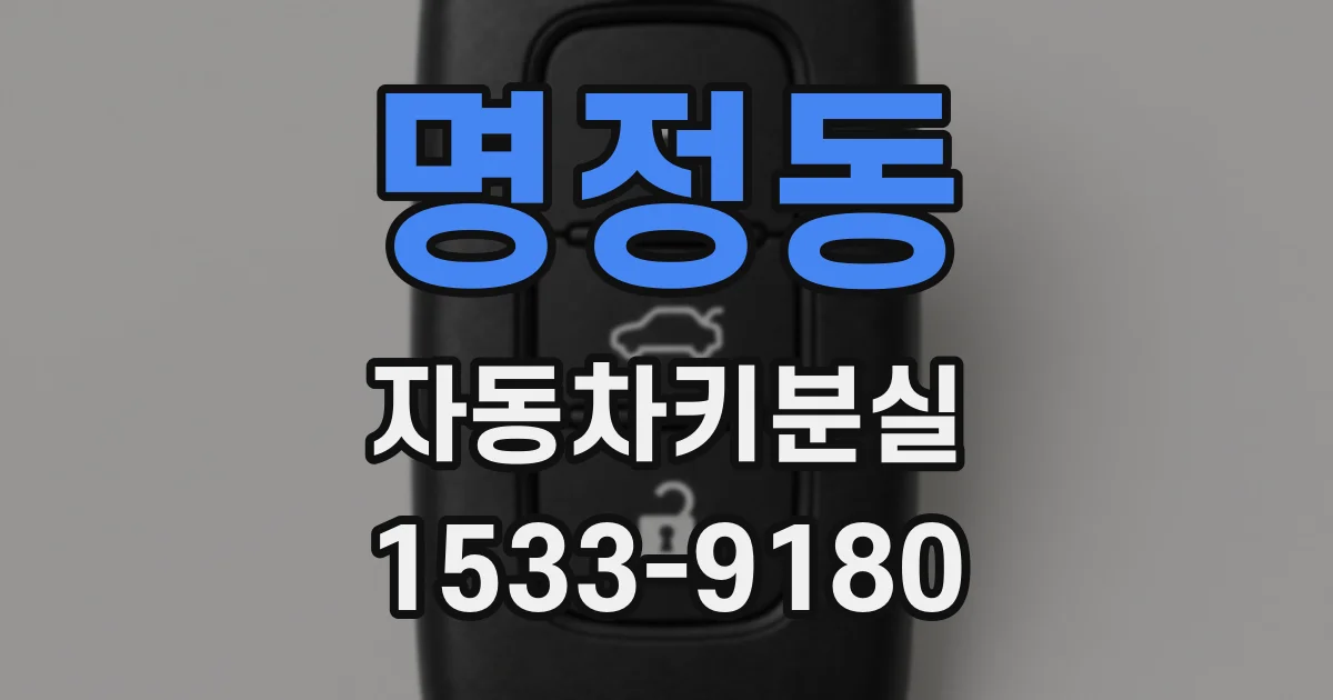 명정동 자동차키분실