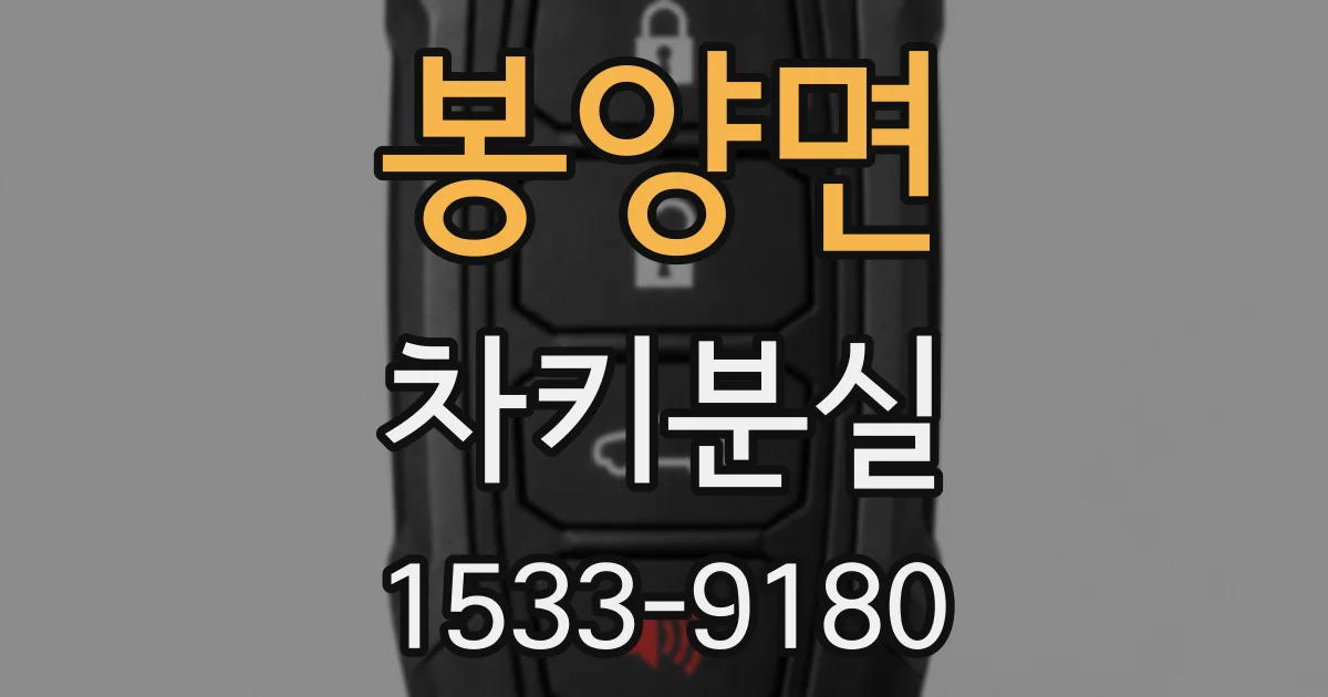 봉양면 차키분실