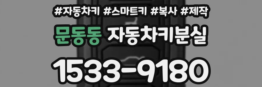 문동동 자동차키분실