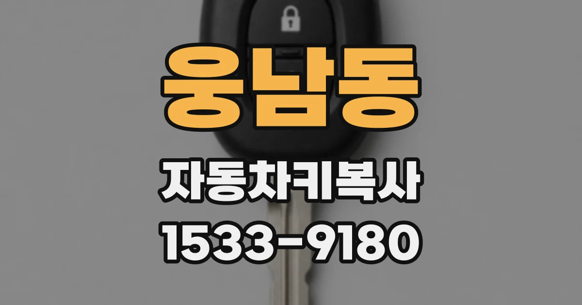 웅남동 자동차키복사