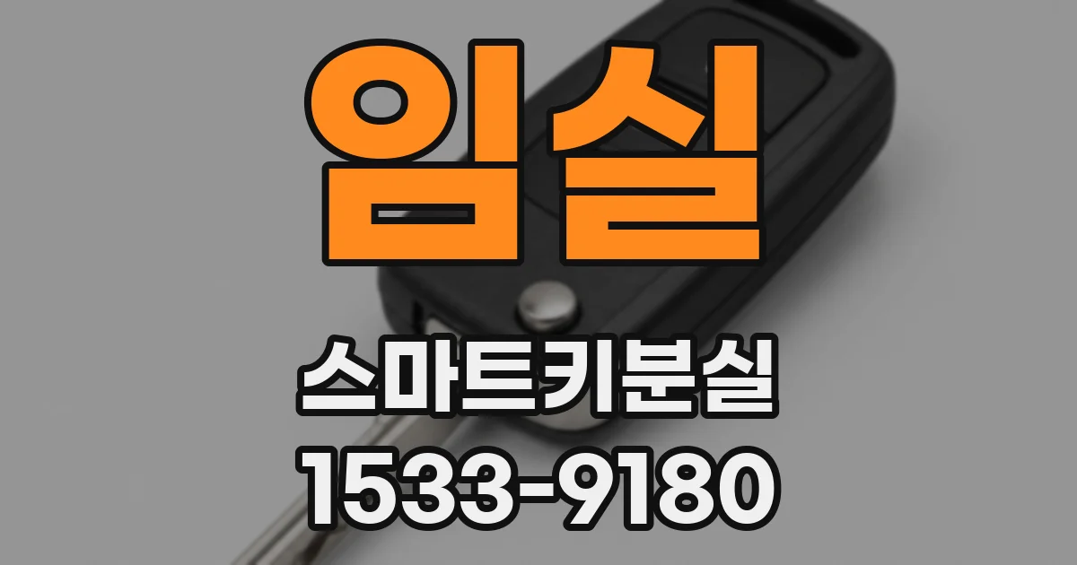 임실 스마트키분실