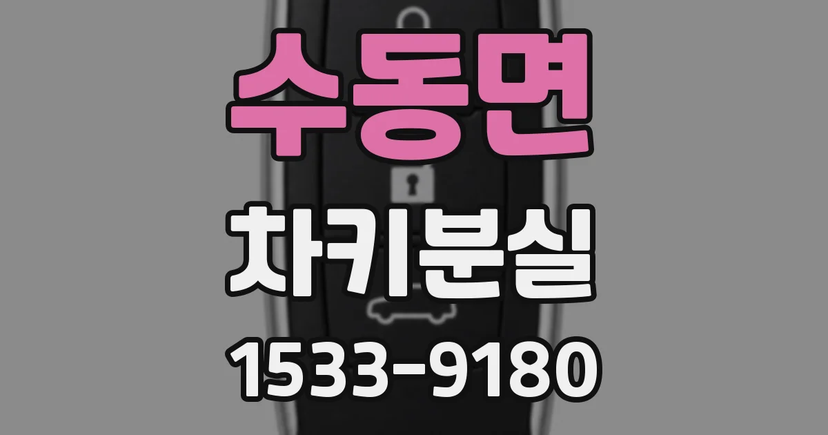 수동면 차키분실
